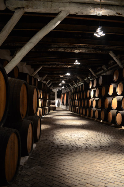 葡萄牙波尔图的地窖图片下载