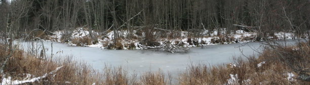冬季狼溪2全景图片下载