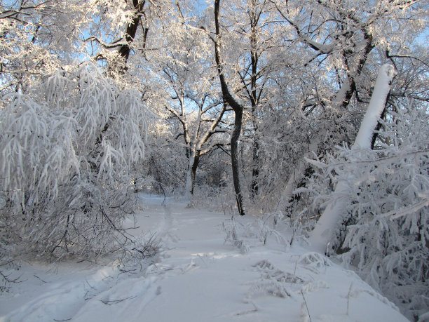 松软的雪图片下载