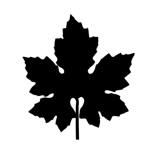 叶轮廓图片下载