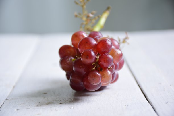 微型香槟葡萄图片下载