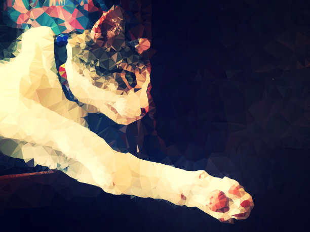 可爱的猫跳跃多边形，低多边形艺术图片下载