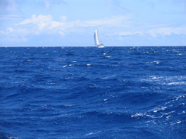 太平洋上的帆船图片下载