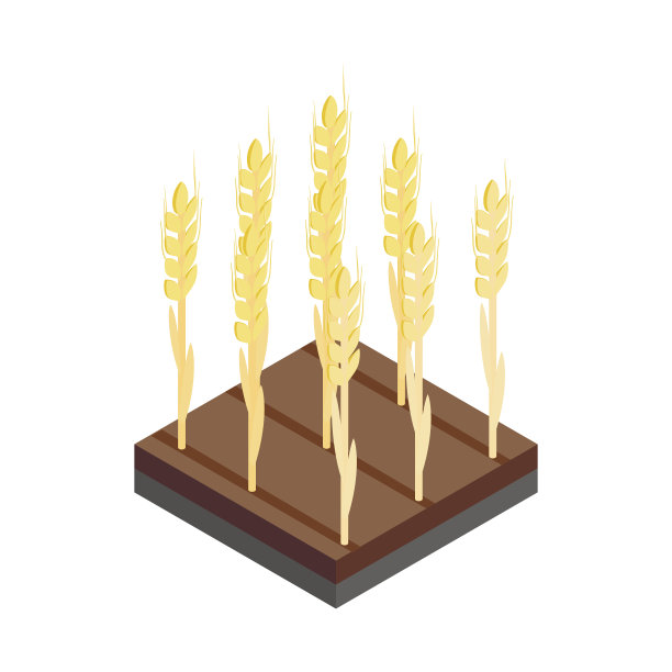 黄麦穗在田间等距3d图标图片下载