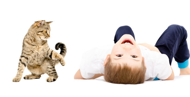 男孩和猫一起在地板上玩图片下载