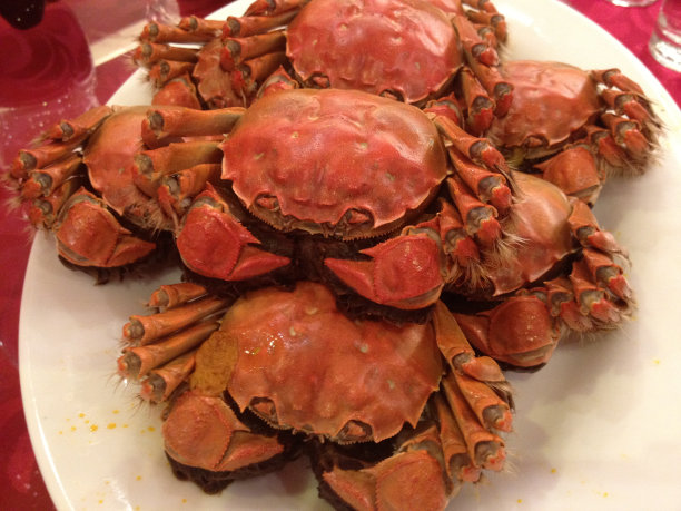 大盘清蒸大闸蟹图片下载