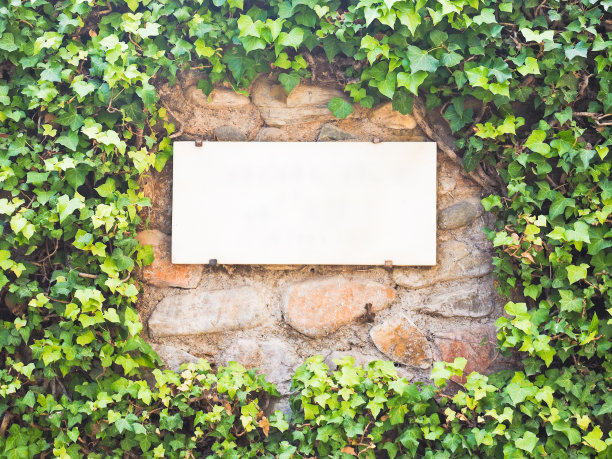 石版印刷板图片下载