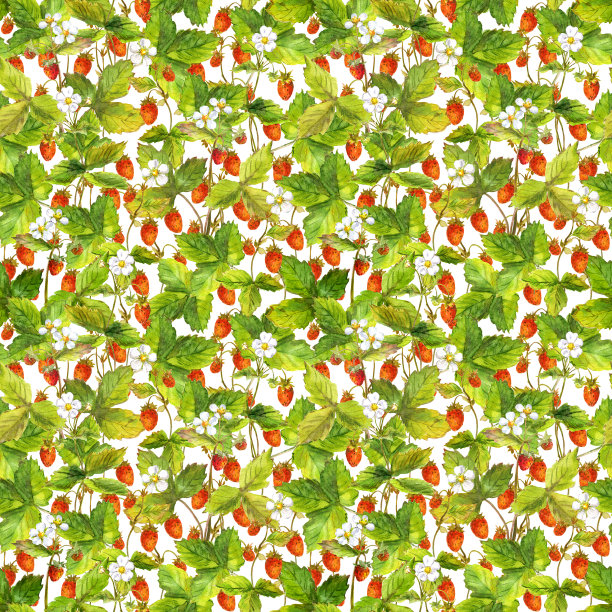 无缝夏日模板与野草莓浆果森林图片下载