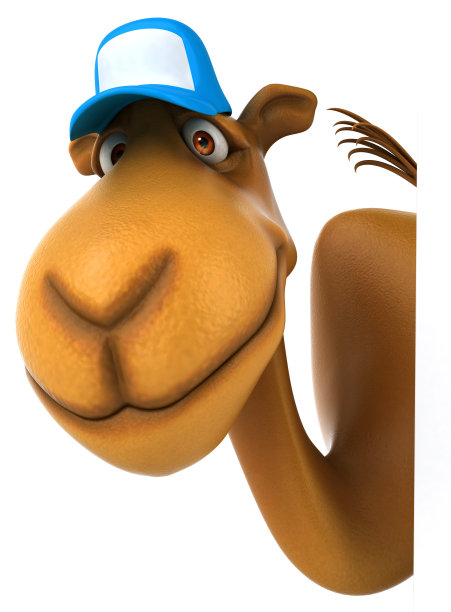 有趣的骆驼图片下载