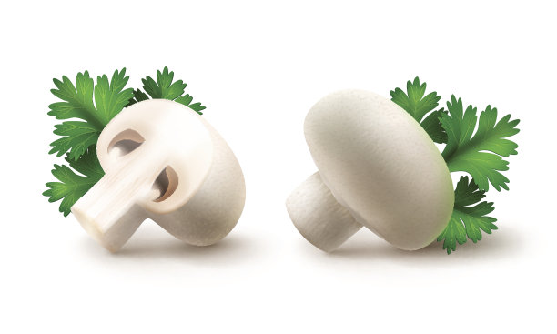 整片和切半片的白色香槟和欧芹图片下载