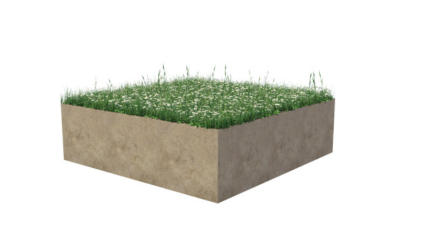 土壤草图片下载