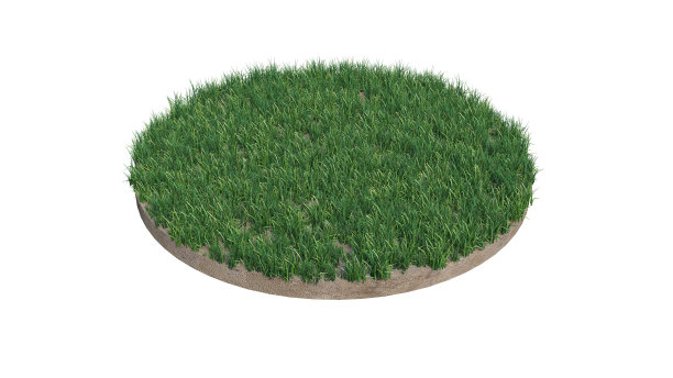 土壤草图片下载