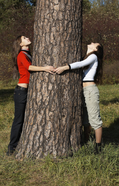 女孩和大树图片下载