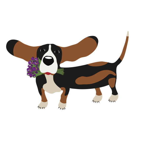 长有一束鸢尾花的猎犬图片下载