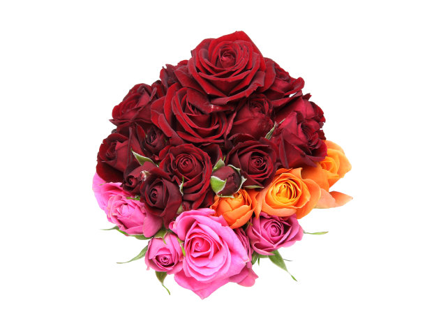 束玫瑰图片下载