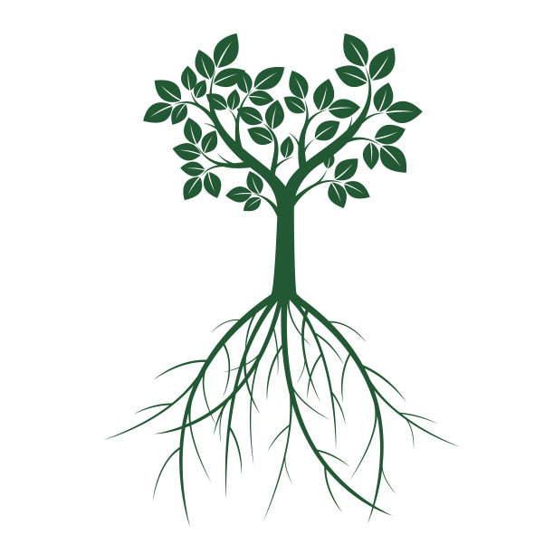绿色的树。矢量插图。图片下载