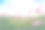 花园里的紫色，粉色，宇宙花。图片下载