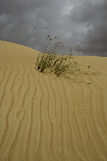 带有风暴云的沙丘图片下载