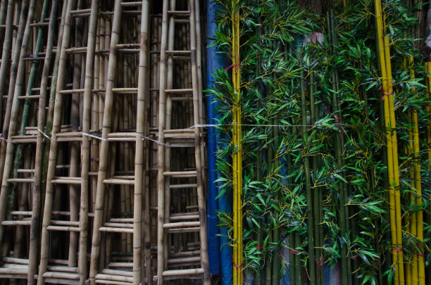 梯子和竹子图片下载