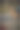 沙皮狗图片下载