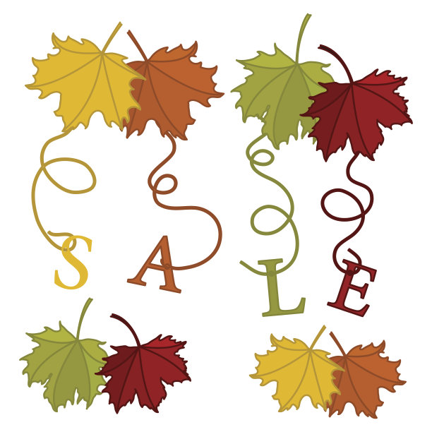 秋天的促销卡，明亮的枫叶。矢量插图。图片下载