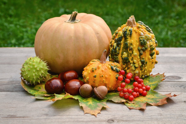 秋天的水果和南瓜图片下载