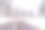 白雪覆盖的罗奇波尔松树图片下载