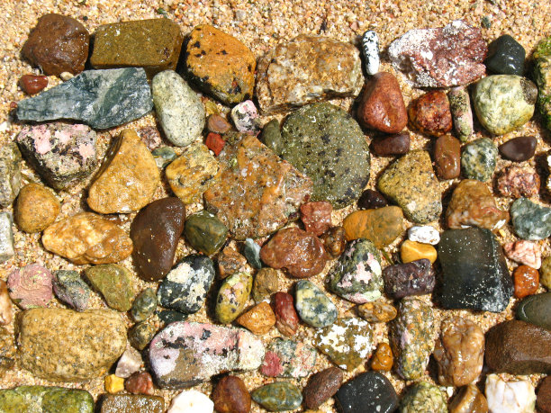 多样性图片下载