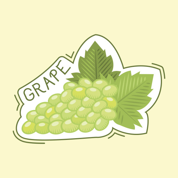 串葡萄徽章向量插图。图片下载