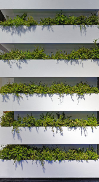 垂直花园图片下载