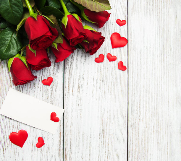 玫瑰花照片素材ID：137503348