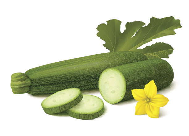 白色背景上的绿色西葫芦图片下载