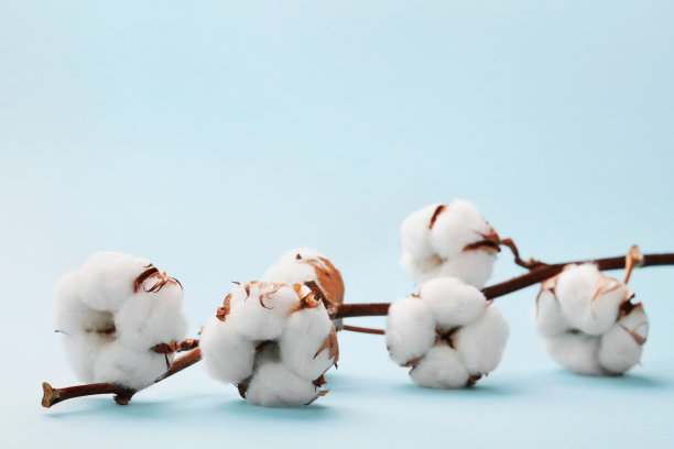 柔软图片素材ID：137515060