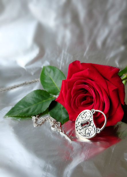 玫瑰,锁定键。图片下载