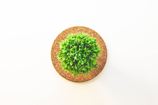 白色背景上的圆形绿树图片下载