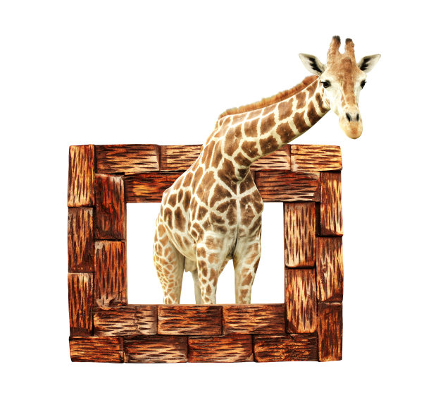 长颈鹿在木框架与3d效果图片下载