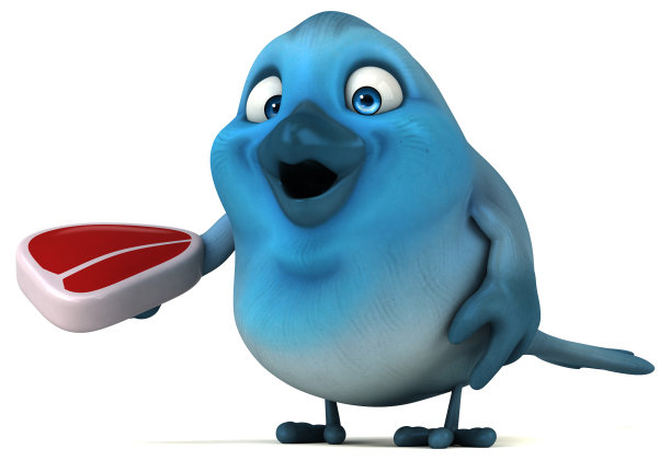 蓝色的鸟图片下载