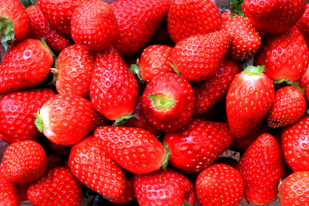 新鲜的草莓图片下载