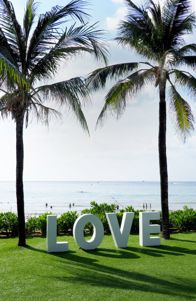 在棕榈树之间拼出的“爱”字图片下载