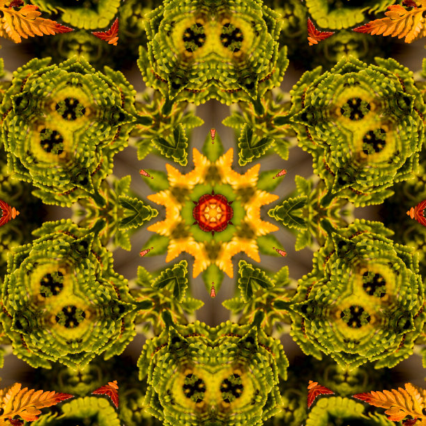 抽象红、绿、黄万花筒图片下载