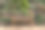 园林景观图片素材ID：137609206
