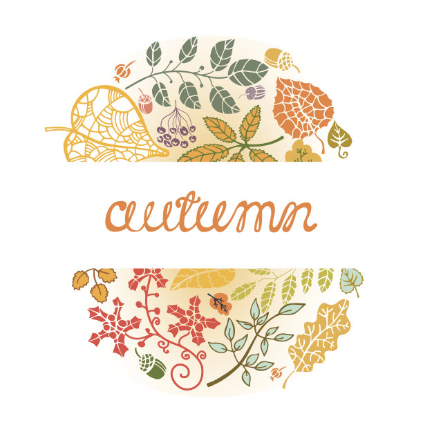 秋天的成分。树叶、树枝、浆果、橡子图片下载