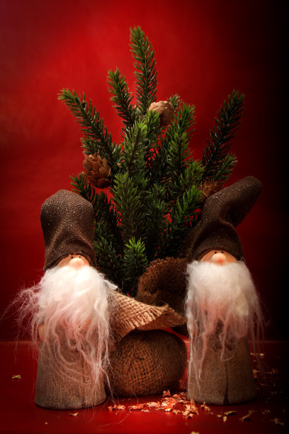 用小矮人和小圣诞树装饰圣诞节图片下载