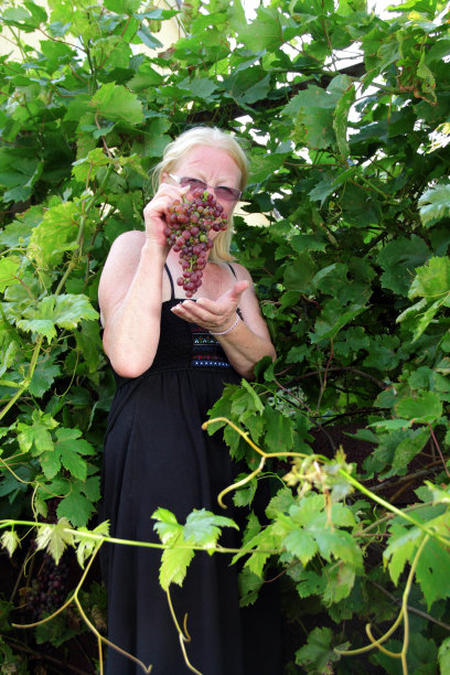 女人在小道消息图片下载