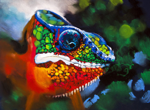 树林里五颜六色的变色龙。图片下载