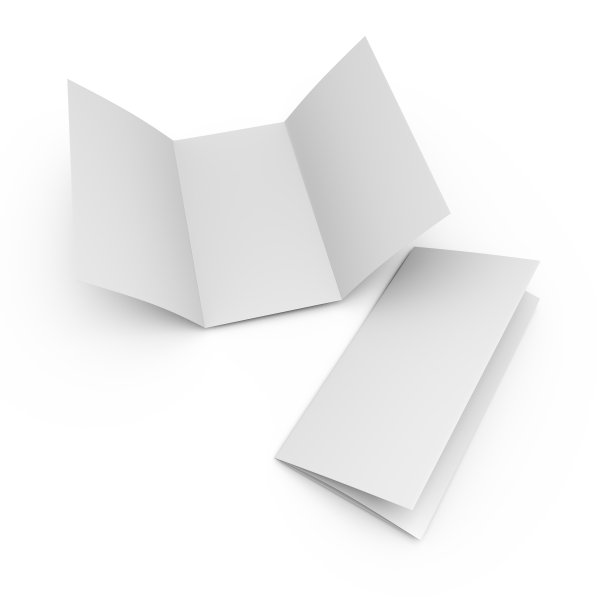 DL大小的空白折叠纸传单图片下载