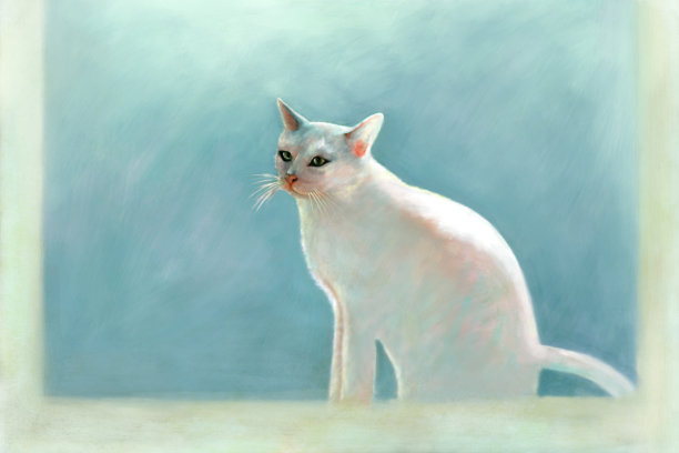 画一只白猫图片下载