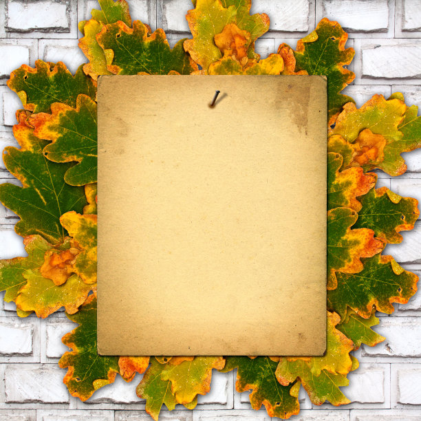 旧纸与秋叶在旧砖墙上图片下载
