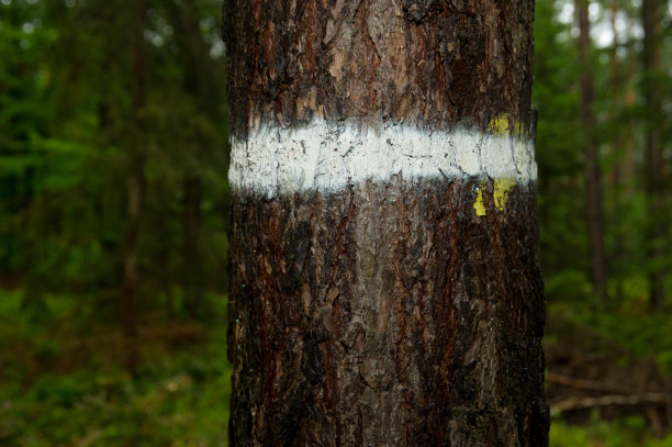 白色的标志图片下载