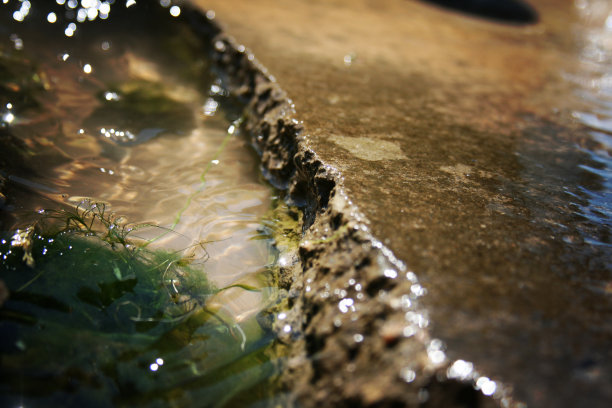 在边缘上图片下载